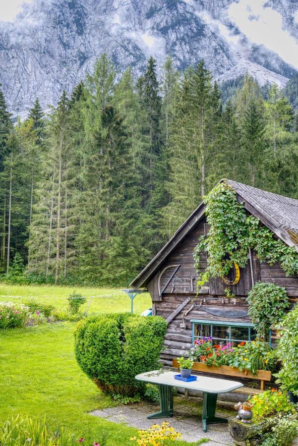 Апартаменты Haus Hildegard Тауплиц Экстерьер фото